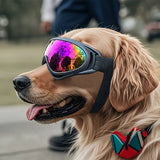 Lentes de Sol UV Protection