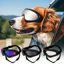 Lentes de Sol UV Protection