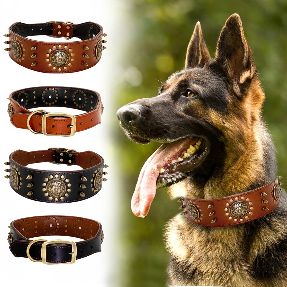 Collar Premium de Cuero