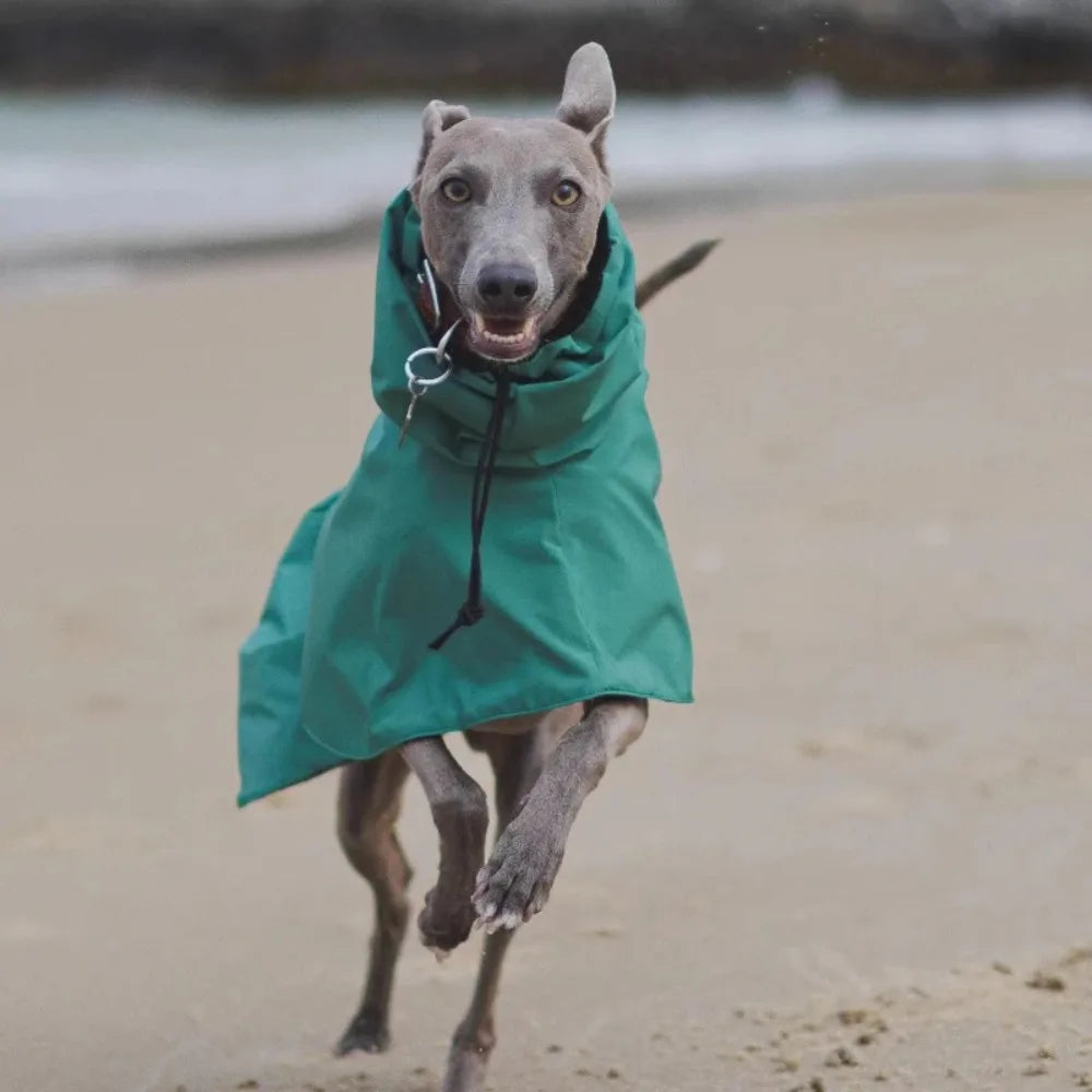 Impermeable Premium para Perros
