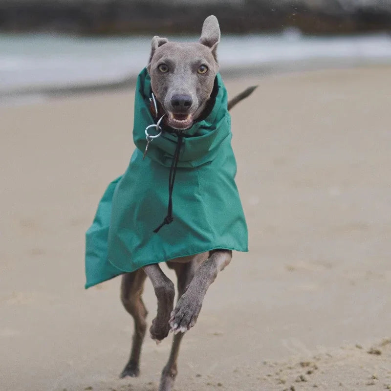 Impermeable Premium para Perros