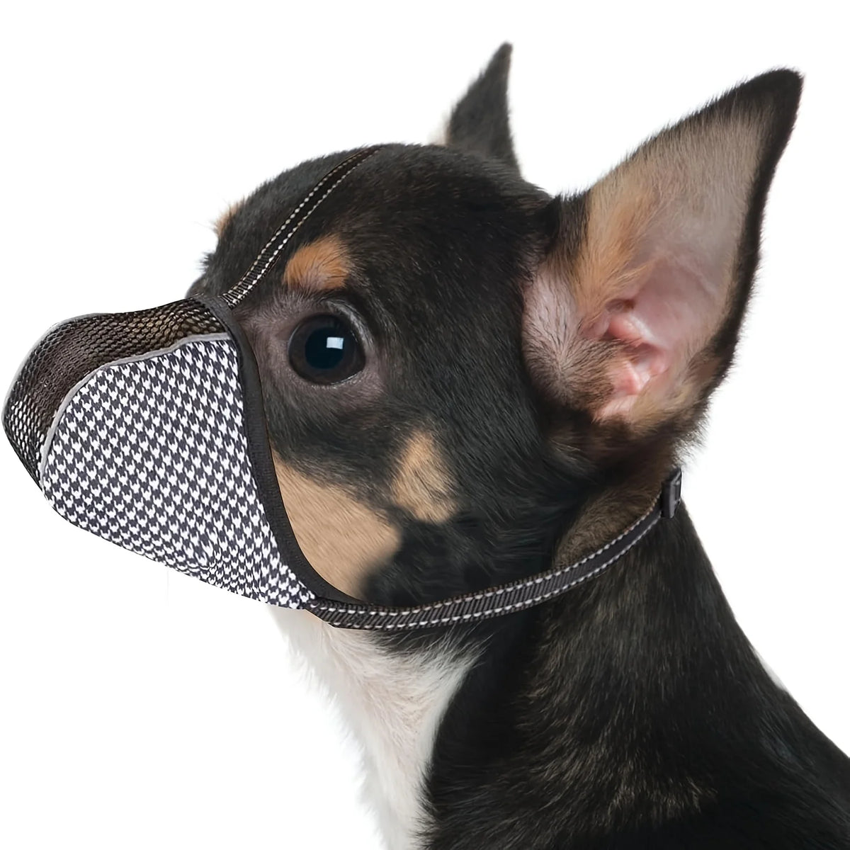 Bozal Premium de Malla Transpirable para Perros