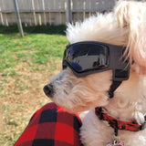 Gafas Protectoras UV para Perros y Gatos