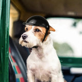 Casco de Moto para Mascotas