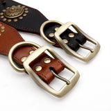 Collar Premium de Cuero
