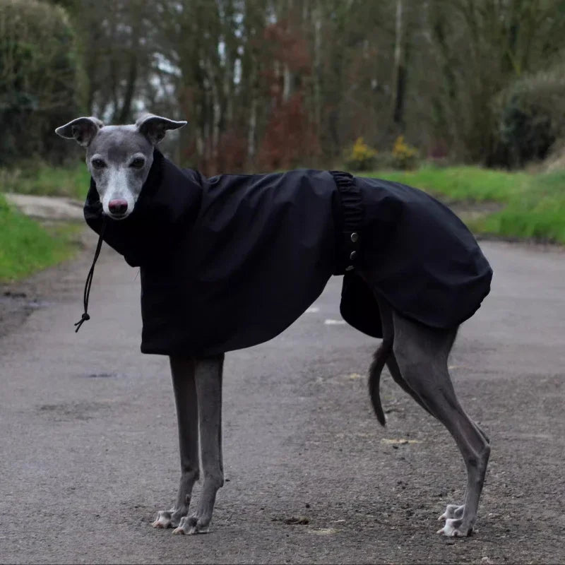Impermeable Premium para Perros