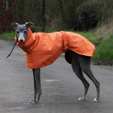 Impermeable Premium para Perros