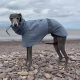Impermeable Premium para Perros